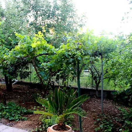 Molinello Country House *